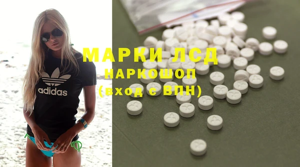 ECSTASY Белокуриха