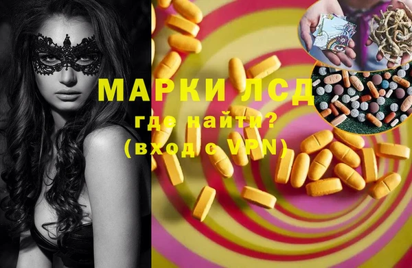 индика Беломорск