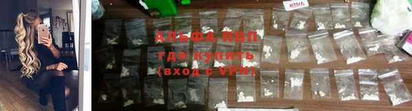 индика Беломорск