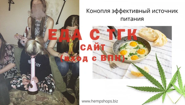 индика Беломорск
