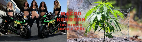 индика Беломорск