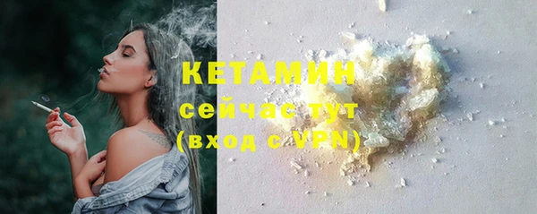 индика Беломорск