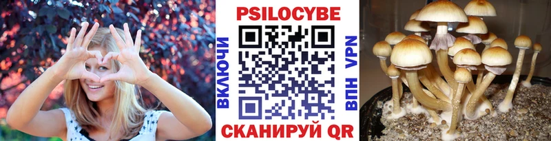 Галлюциногенные грибы мицелий  omg вход  Гусев 